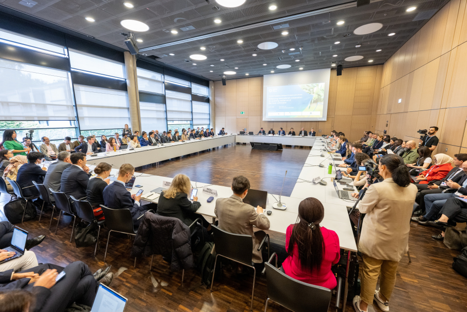 Azərbaycanın COP29-da “Sülh və iqlim qovşağı” mövzusuna diqqəti BMT-nin İqlim Konfransında təqdirlə qarşılanıb