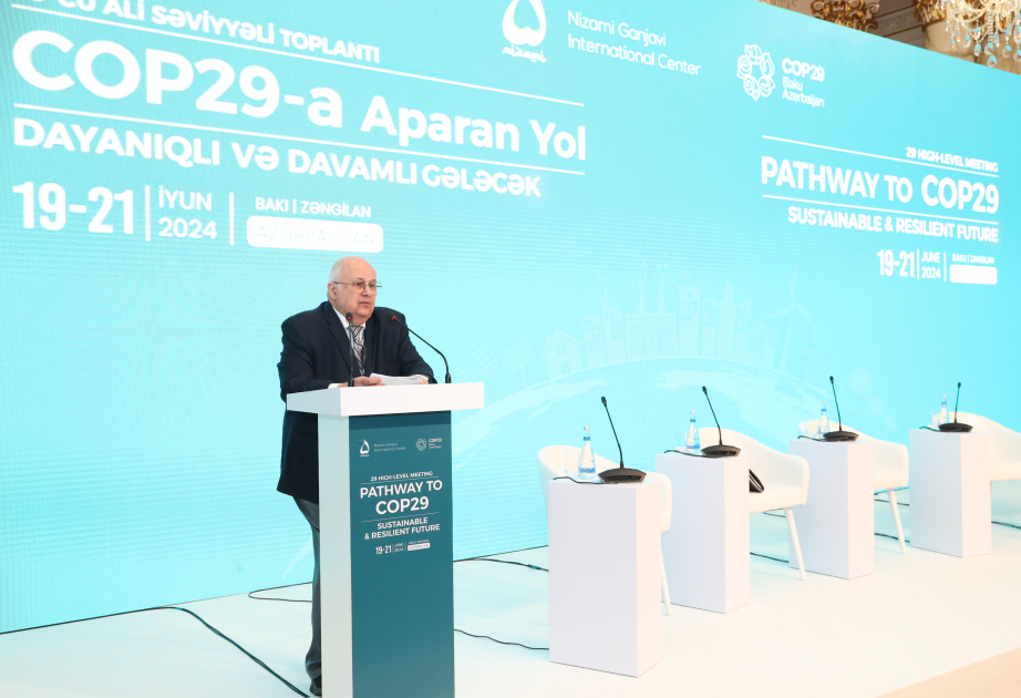 İsmayıl Serageldin: Azərbaycanın COP 29-a ev sahibliyi bizi məmnun edir