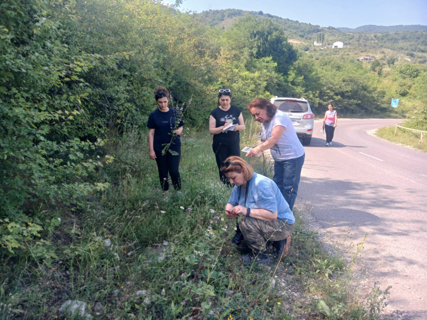 Ağdərə rayonunda botaniki tədqiqatlar aparılıb