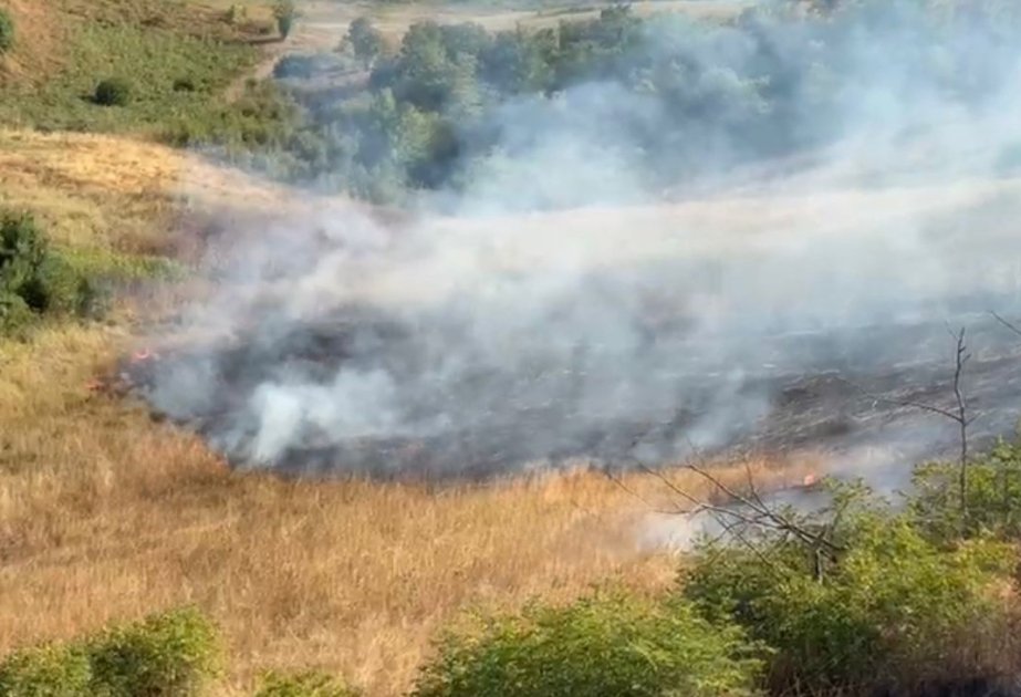 Xocavənddə yanğına səbəb olan şəxslər saxlanılıb