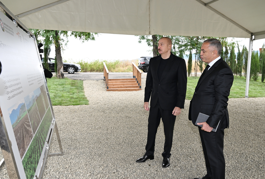 Prezident İlham Əliyev Xocalının Daşbulaq kəndində tut bağında görülmüş işlərlə tanış olub