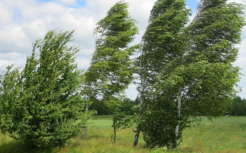 Faktiki hava şəraiti