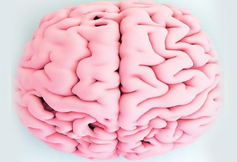 Beyindəki dəyişikliklər depressiyaya səbəb ola bilər
