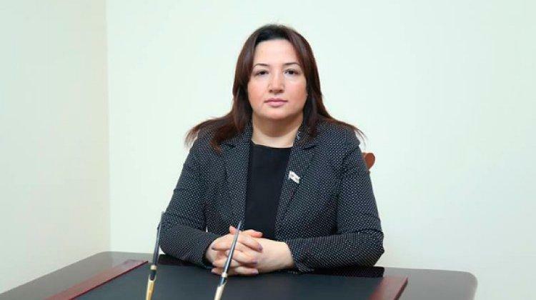 Dövlət başçısının Azərbaycan dili ilə bağlı fikirləri çox dəyərlidir