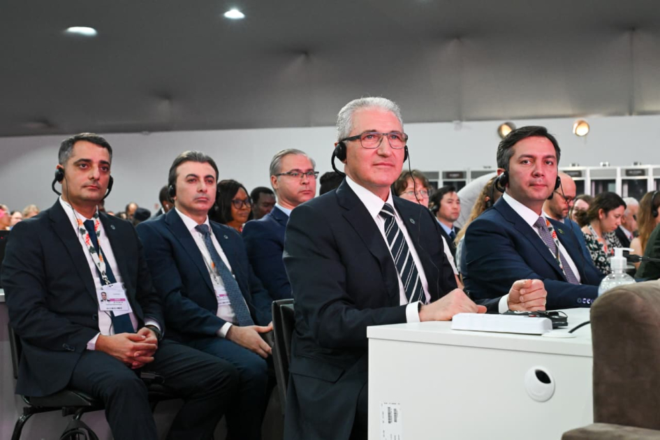 COP29 Sədri estafeti COP30 Sədrliyinə ötürərək ölkələri əvvəlki vədləri yerinə yetirməyə çağırıb