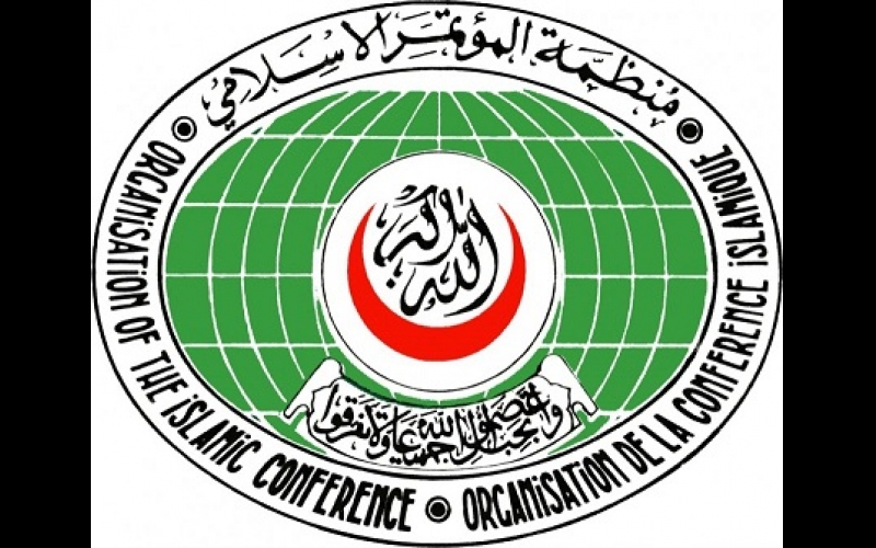 'Settlement of Nagorno-Karabakh conflict is a key priority for OIC'