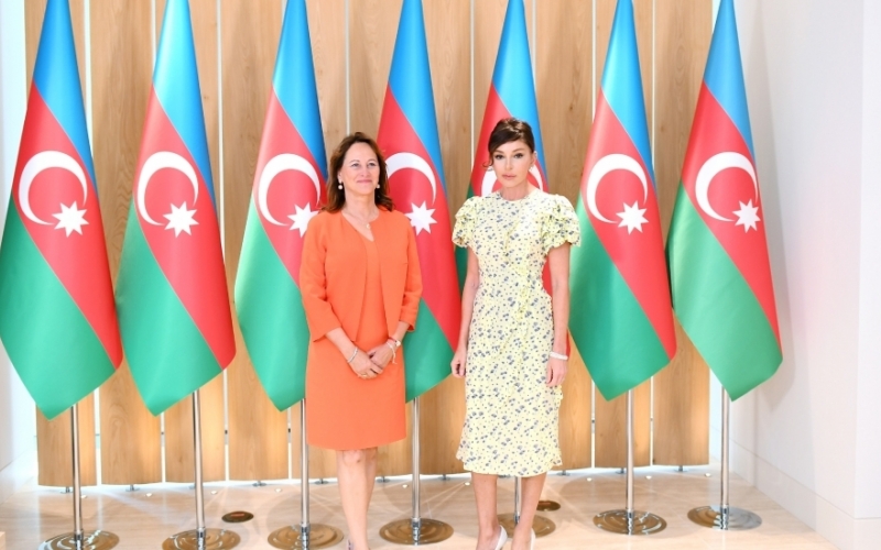 First Vice-President of Azerbaijan Mehriban Aliyeva met with French ambassador for Arctic and Antarctic Poles