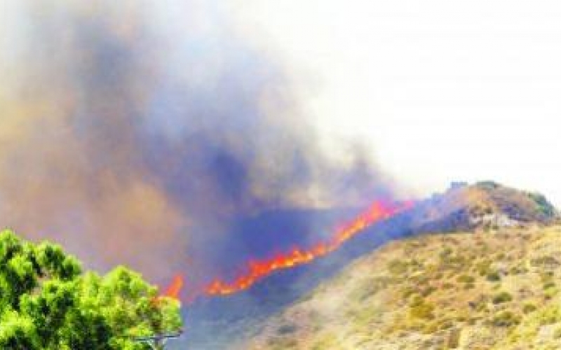 Ecological Condition in Azerbaijan Territories under Occupation