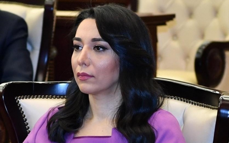 Azerbaijani Ombudsperson appeals to international organizations on eco-terrorism of Armenia in occupied Azerbaijani territories