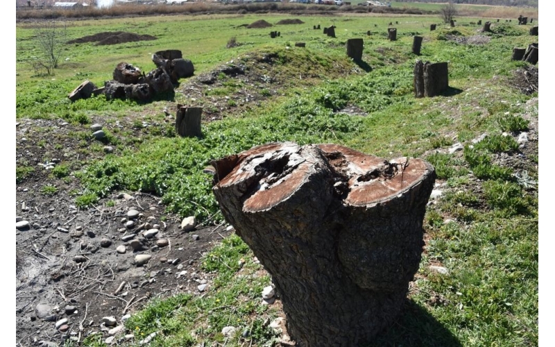 Erməni vandalları Azərbaycanın ekologiyasına ciddi ziyan vurublar