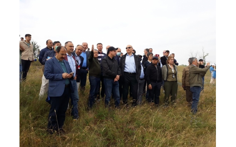 Les représentants du corps diplomatique en Azerbaïdjan visitent la plaine de Djydyr à Choucha