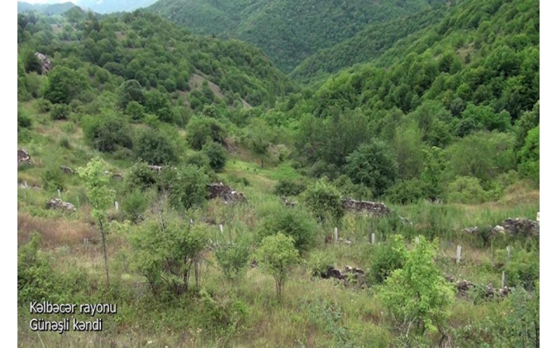 Azerbaijan’s Defense Ministry releases video footages of Gunashli village, Kalbajar district VIDEO