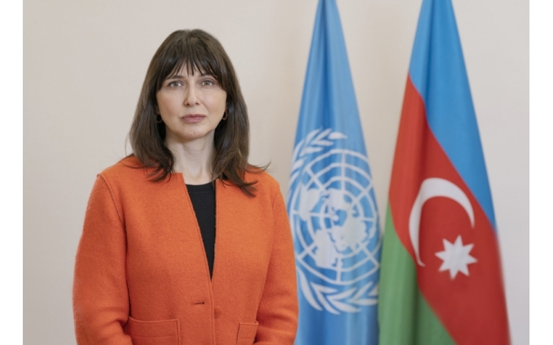 Vladanka Andreeva : L'ONU s'engage à soutenir les efforts de l’Azerbaïdjan dans la lutte contre les mines