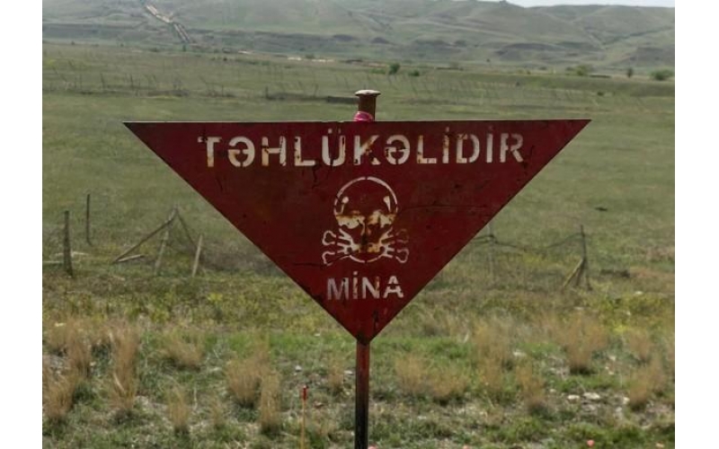 "Ən çox Ermənistanda istehsal olunmuş plastik minalara rast gəlinir" - ANAMA