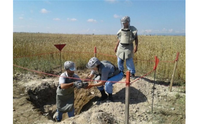 Zəfər yolunda aparılan əməliyyatlar zamanı 1955 mina aşkarlanıb